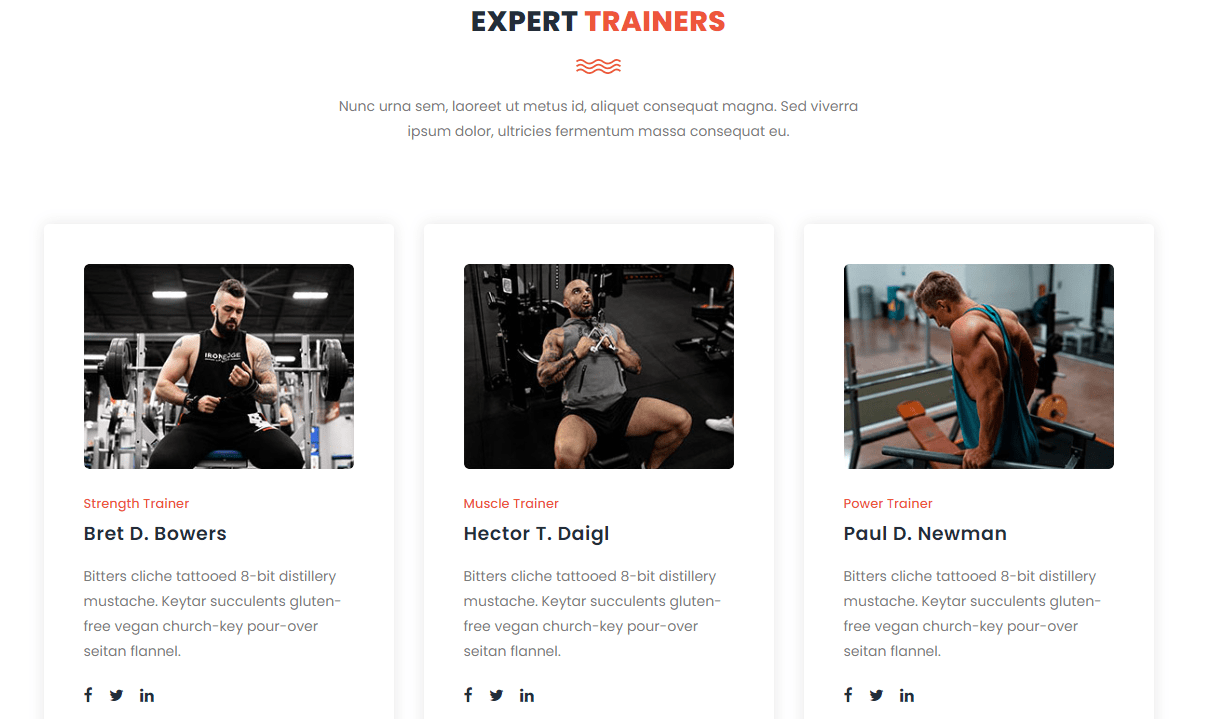Professional gym website development with admin Dashboard