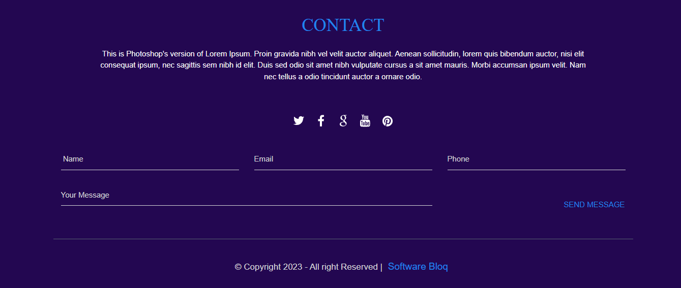 Digital Success Showcase Portfolio website for freelancers and small Business Solutions