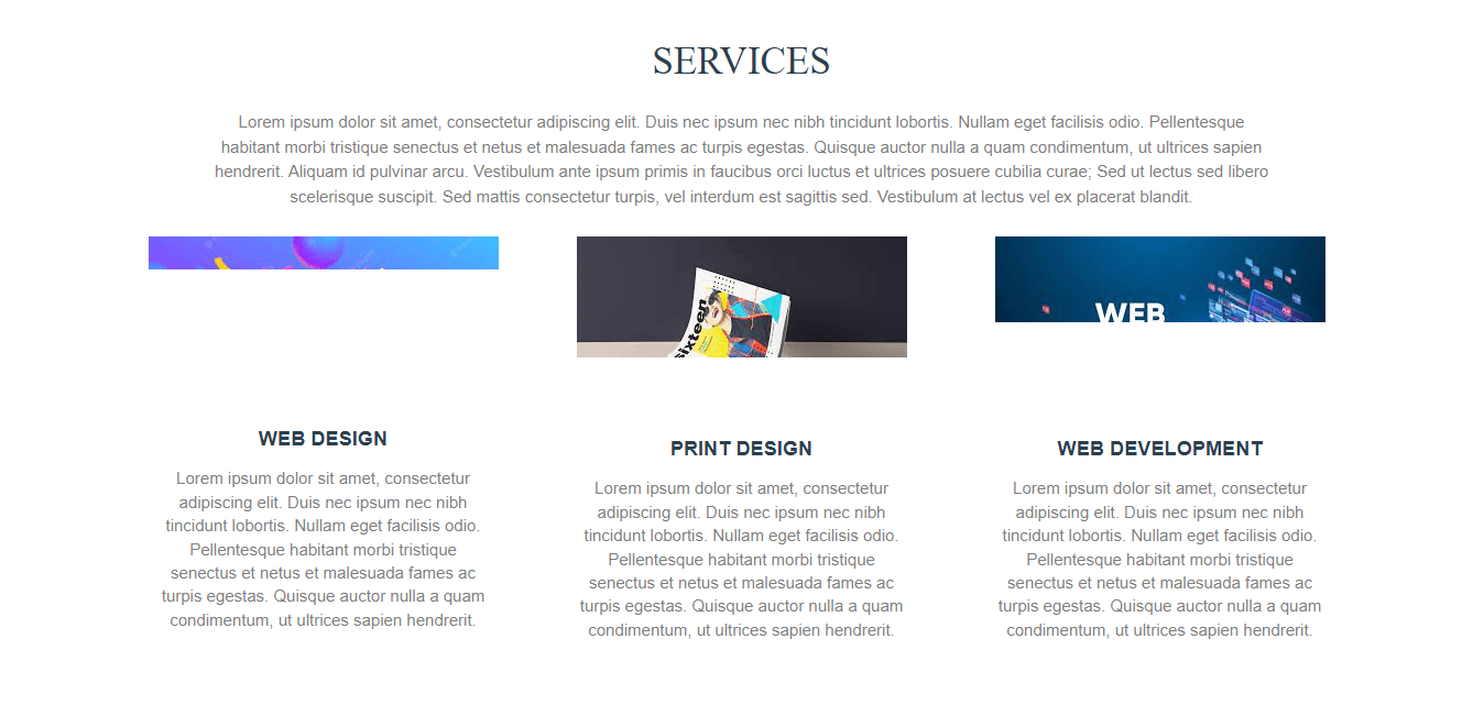 Order a Professional Portfolio Website and build your online brand