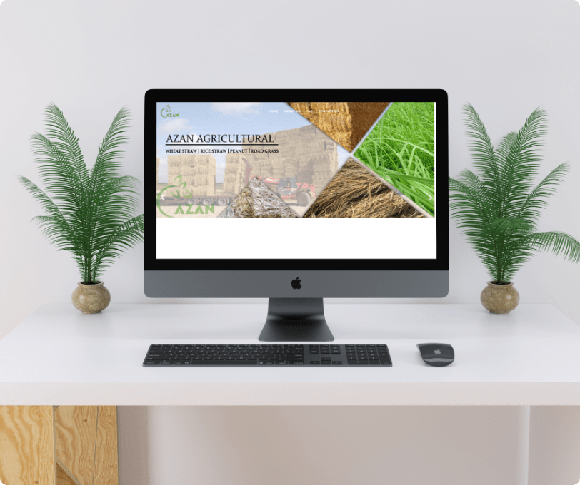 Get Your Ecommerce WordPress Website and Take your business online