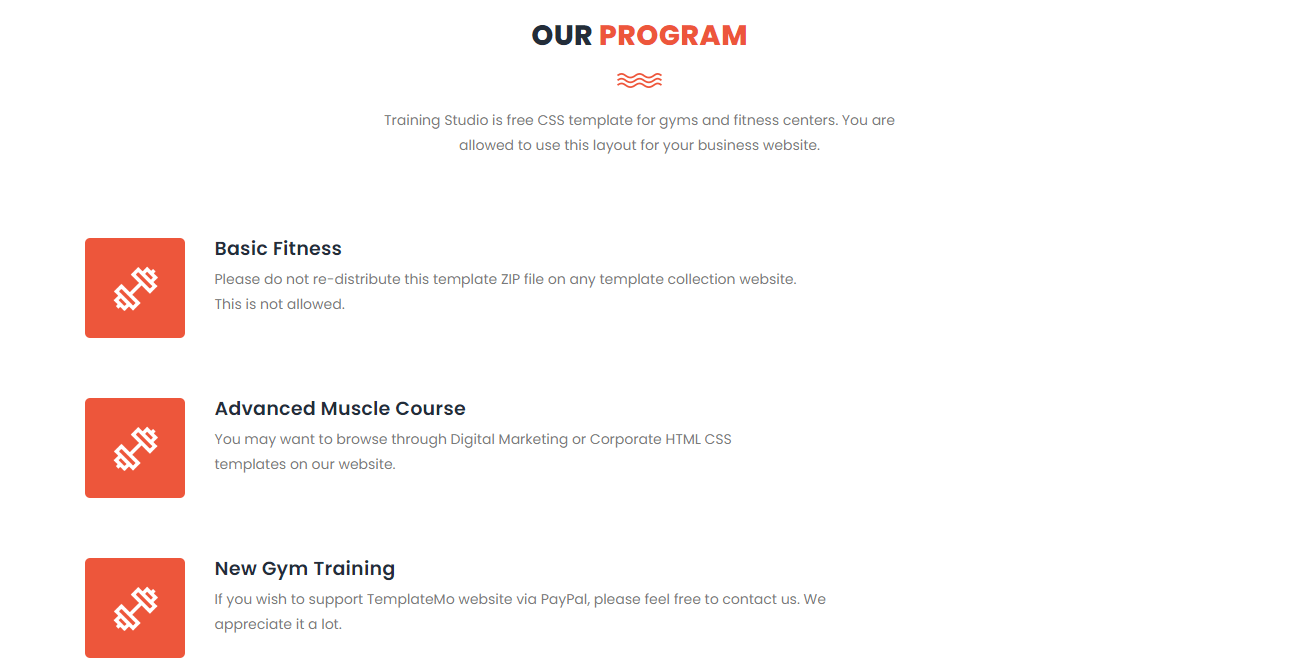 We Develop Gym, Fitness, workout website for your gym