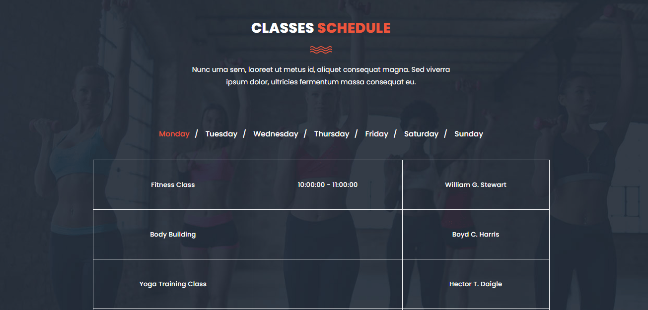 We Develop Gym, Fitness, workout website for your gym