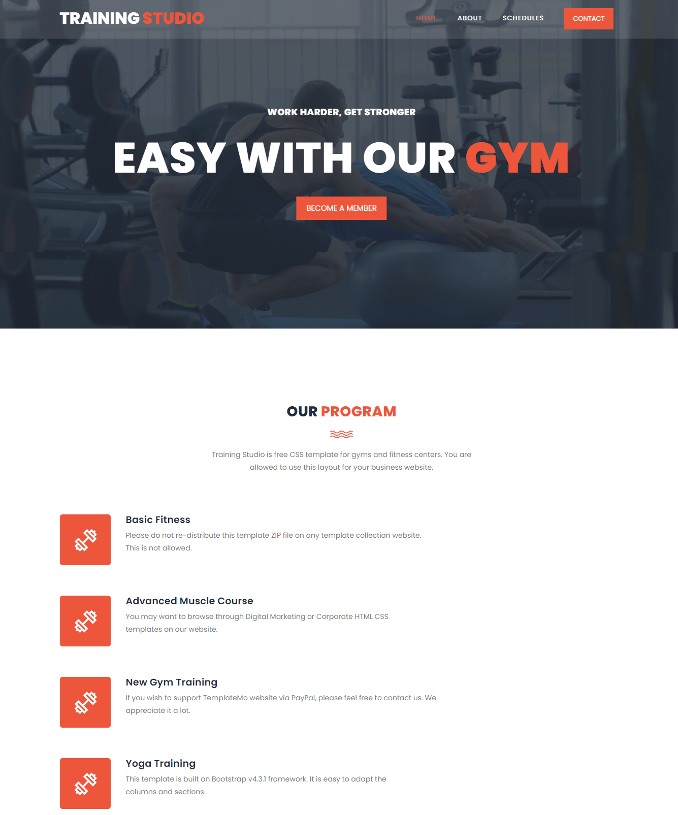 We Develop Gym, Fitness, workout website for your gym